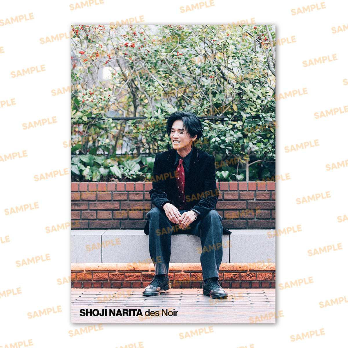 成田昭次ブロマイド Aセット – Rockon Social Club | NARITA THOMAS